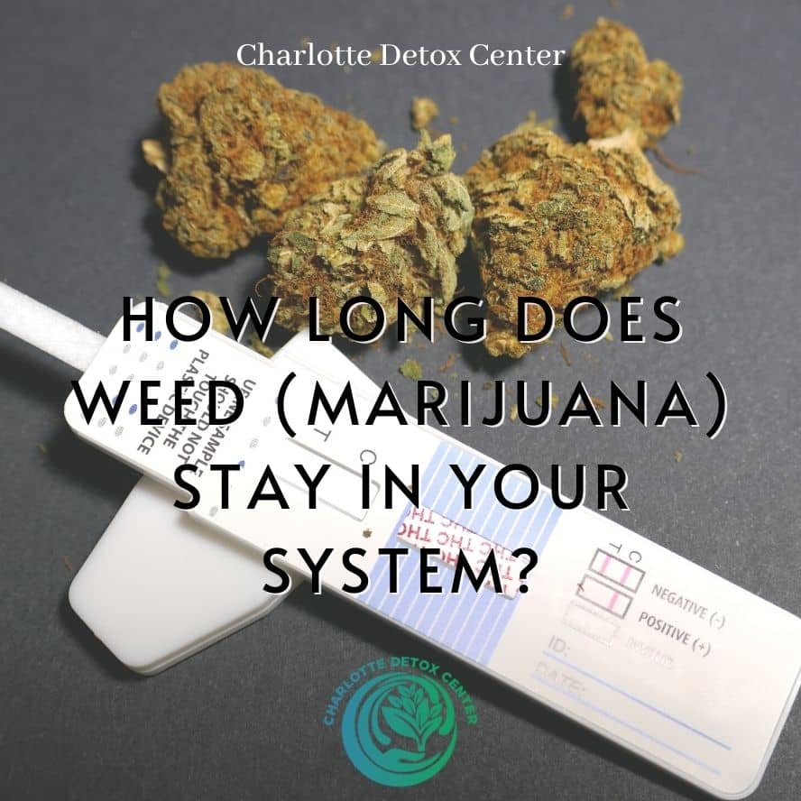 How Long Does Weed (Marijuana) Stay in Your System?